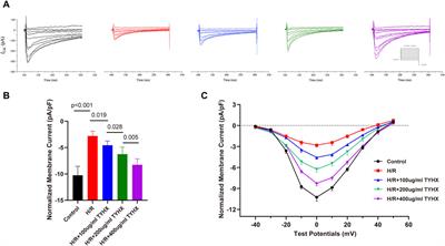 The electrophysiological effects of Tongyang Huoxue granules on the ignition phase during hypoxia/reoxygenation injury in sinoatrial node cells